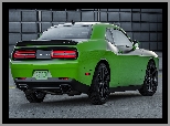 Dodge Challenger T/A