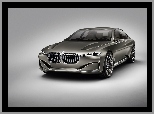 BMW Vision Future Luxury Concept